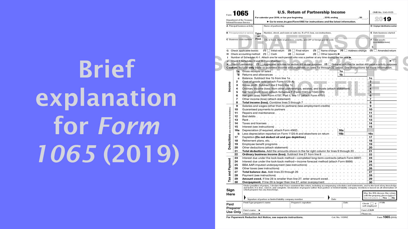form-1065-2019-partnership-tax-return-1065-meru-accounting